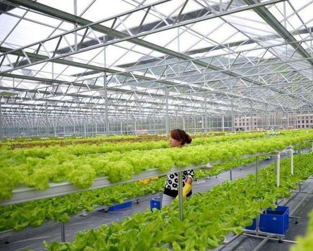 智能温室让你意想不到